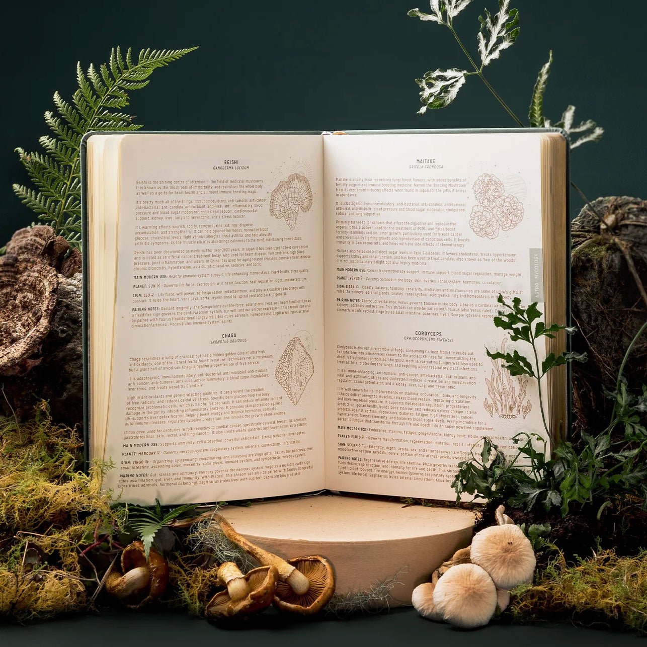 Magic of I 2024 Astrological Planner - Sage
