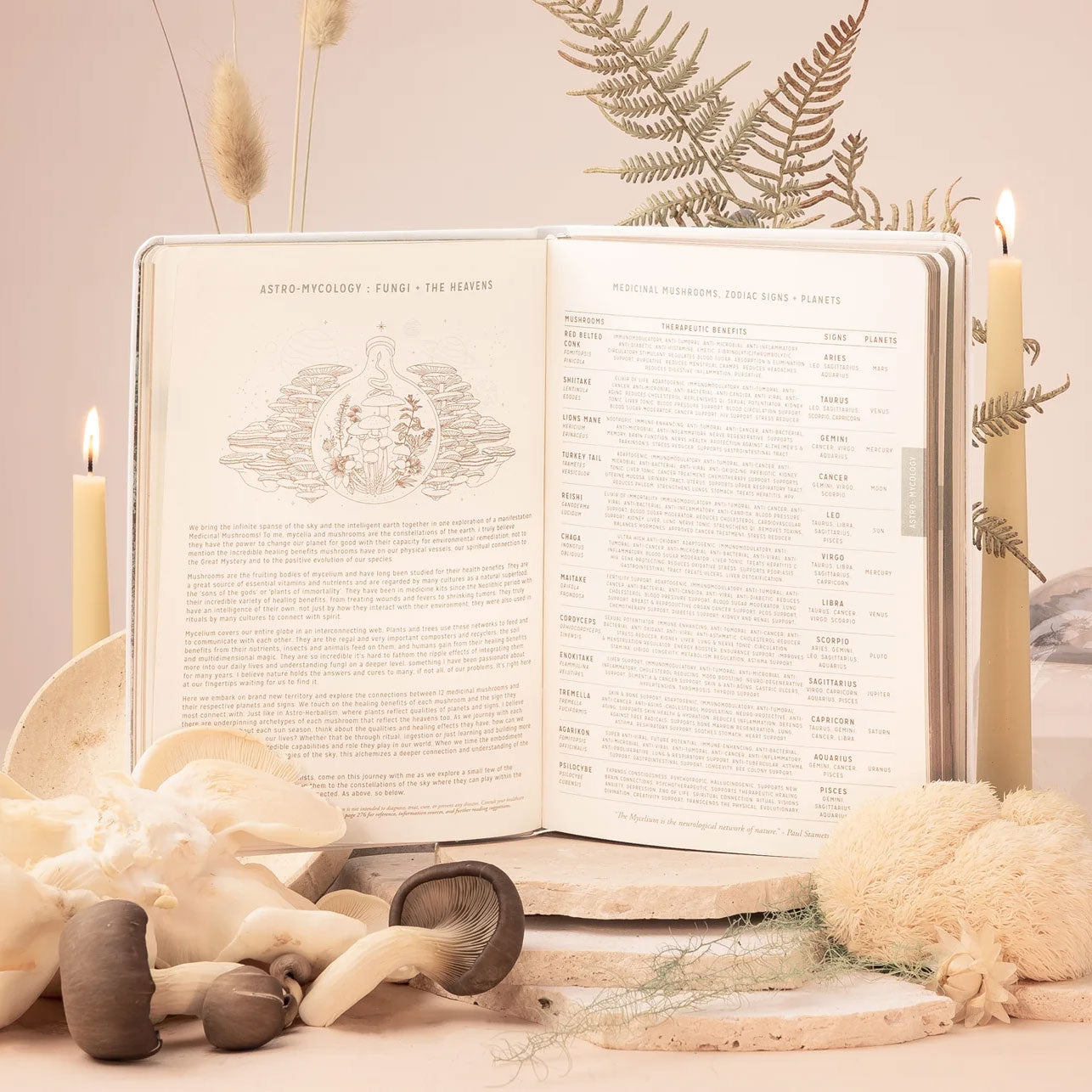Magic of I 2024 Astrological Planner - White