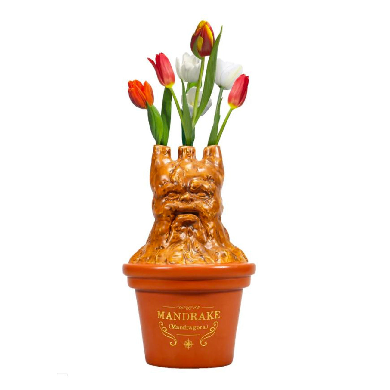 Mandrake Tabletop Vase