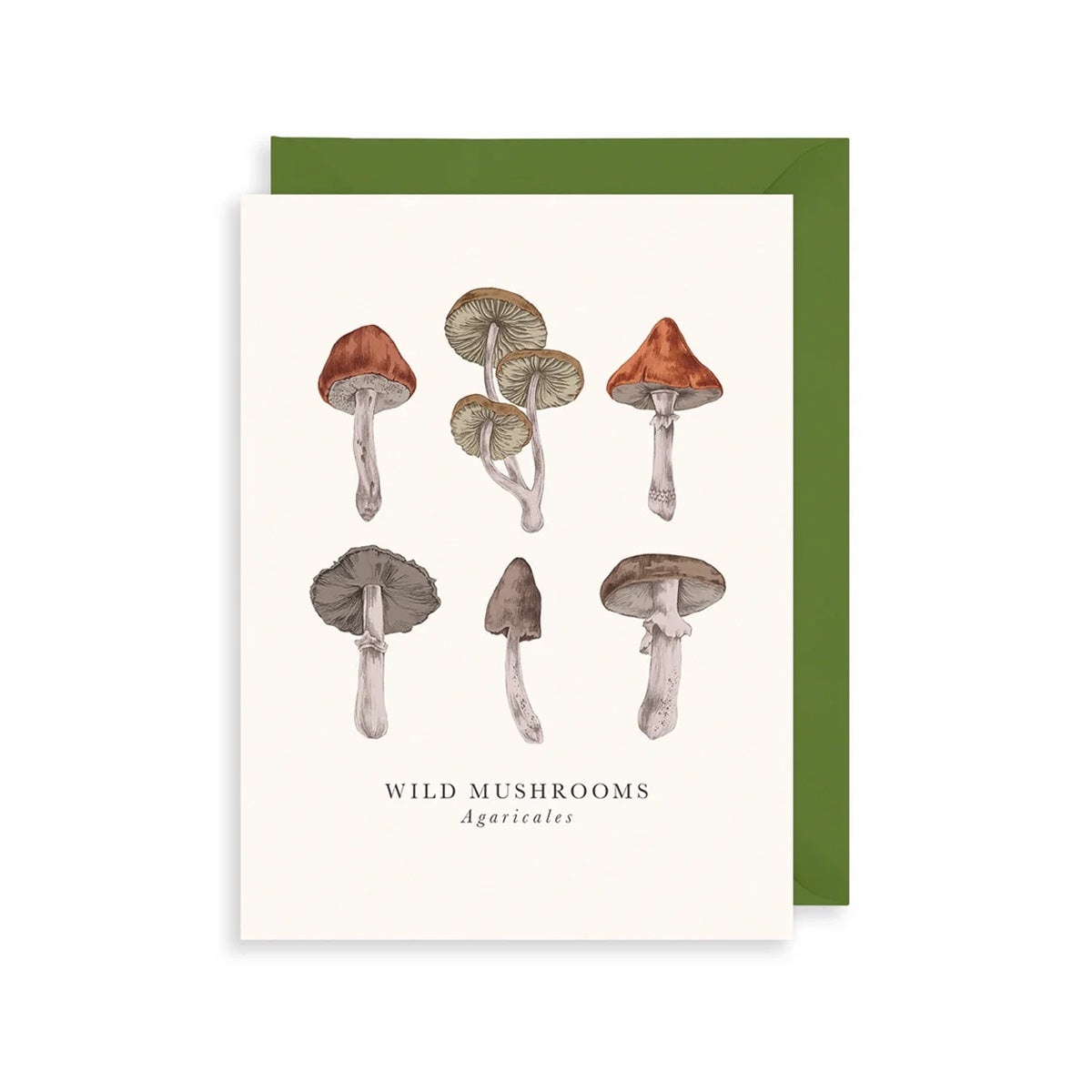 Wild Mushrooms Card