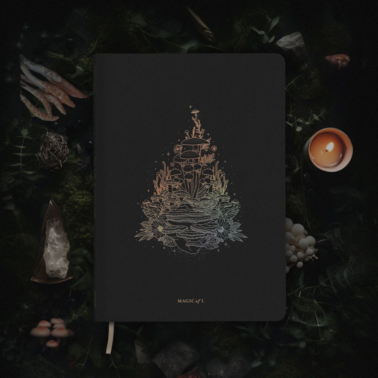 Astro-Mycology Journal: Earthly Delights