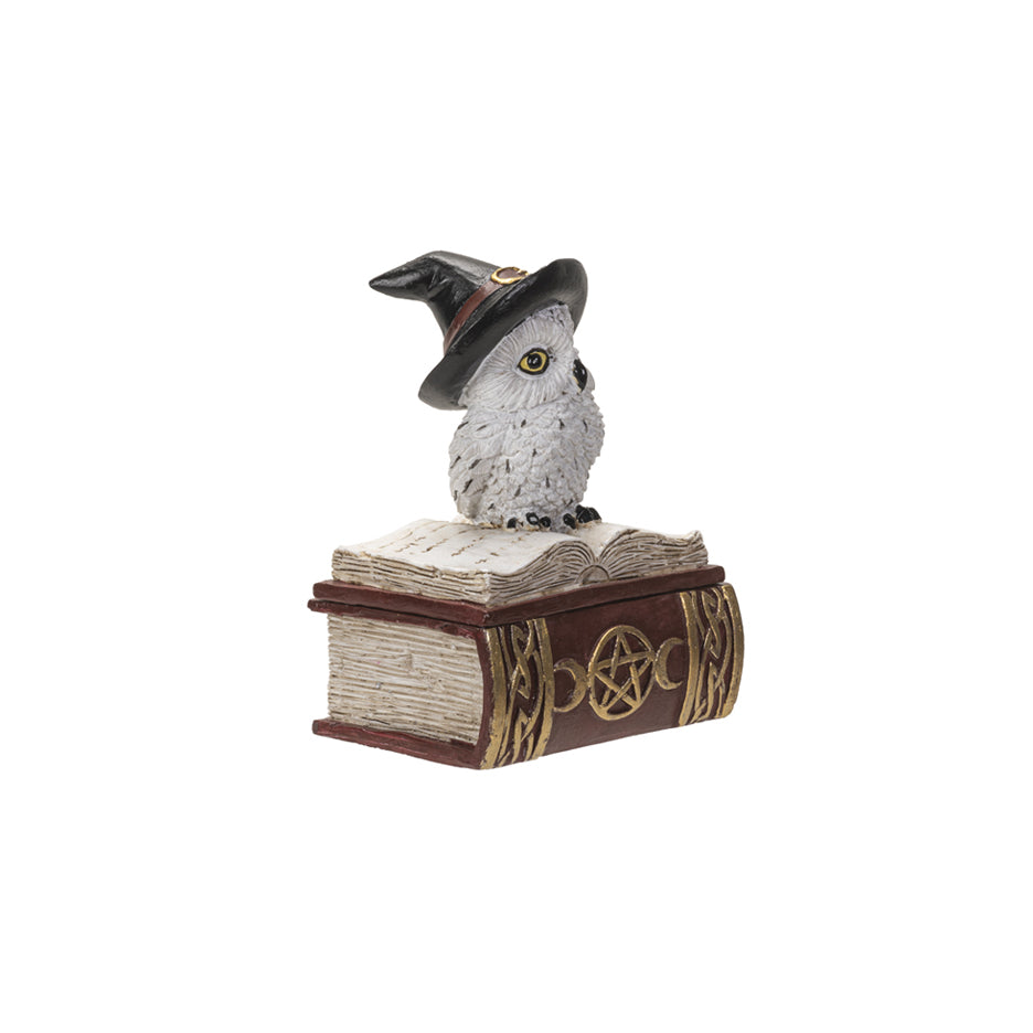 Wizard Owl Spellbook Trinket Box