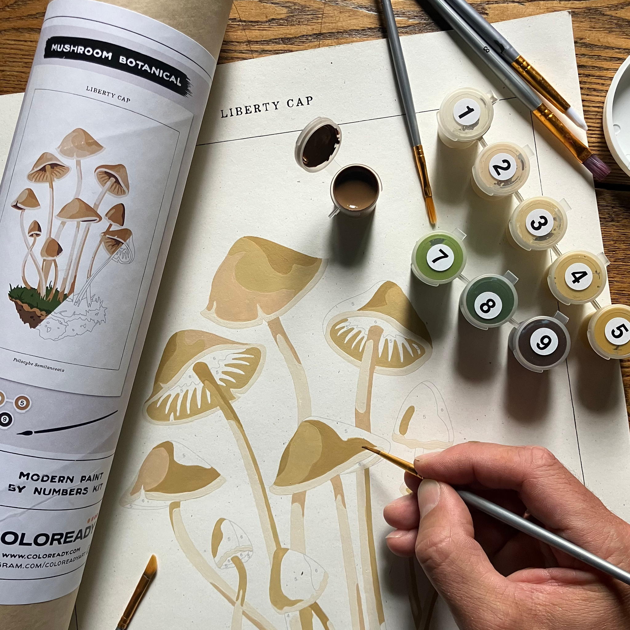Crafternoon: Mushroom Botanical Paint-By-Numbers