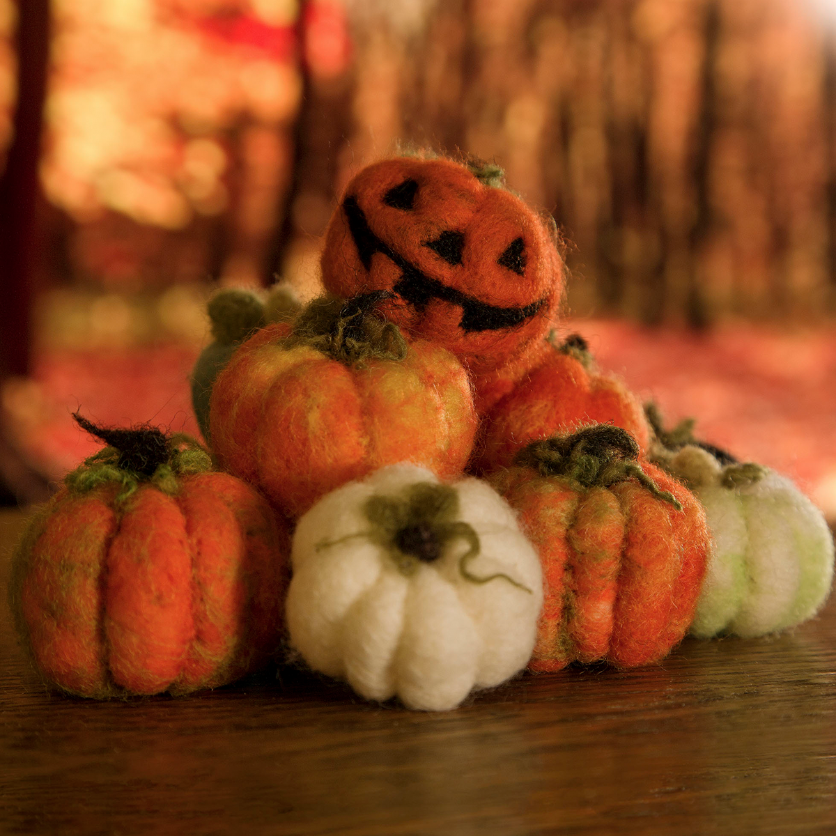 The Enchanted Pumpkin: Needle Felting with Erin Hurst