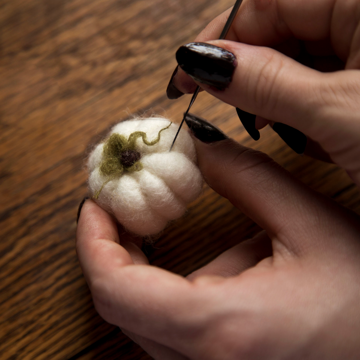 The Enchanted Pumpkin: Needle Felting with Erin Hurst