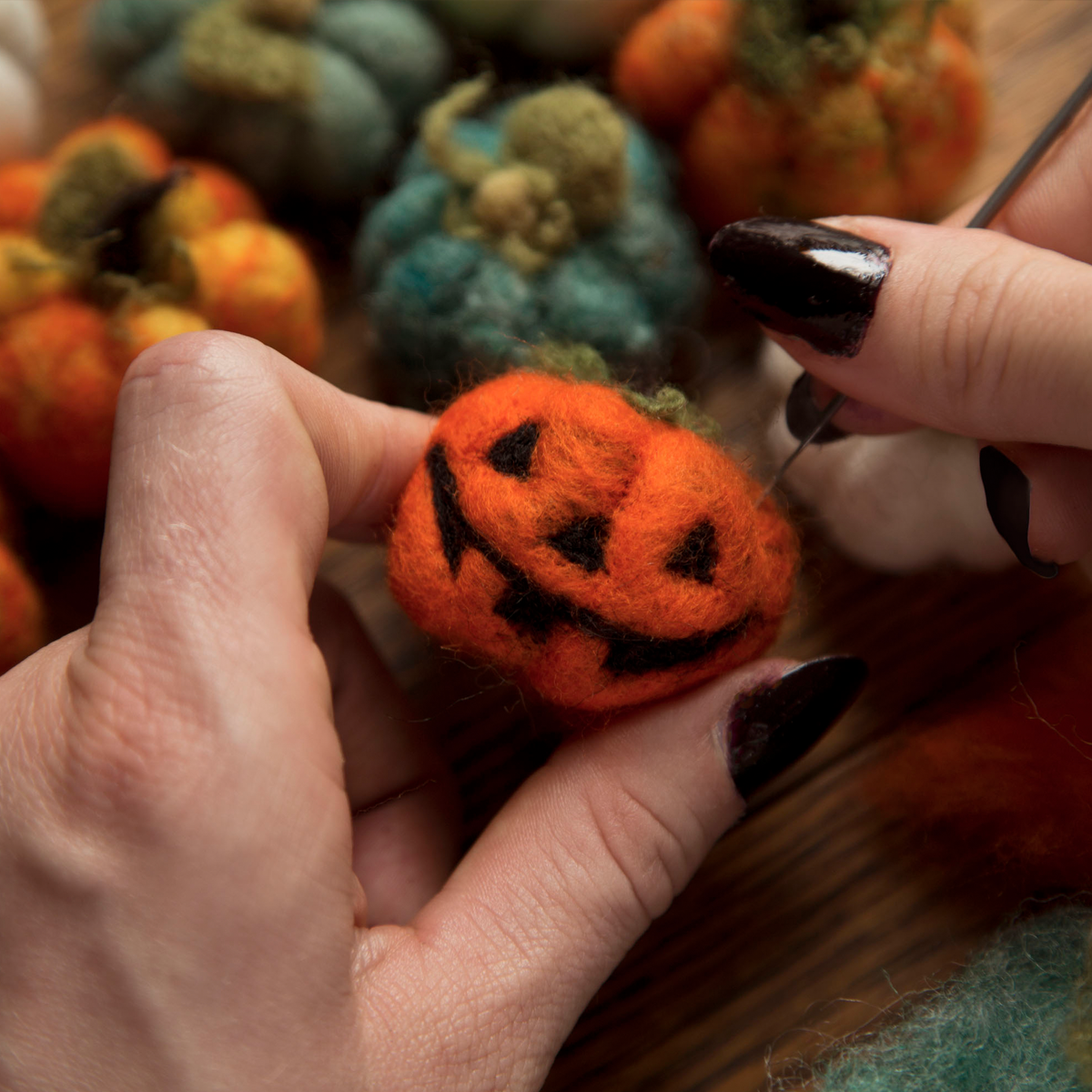 The Enchanted Pumpkin: Needle Felting with Erin Hurst