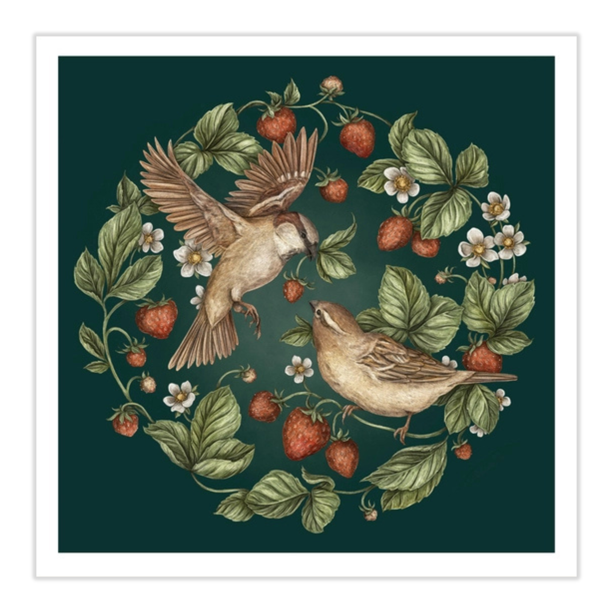Strawberry Sparrows - Jessica Roux