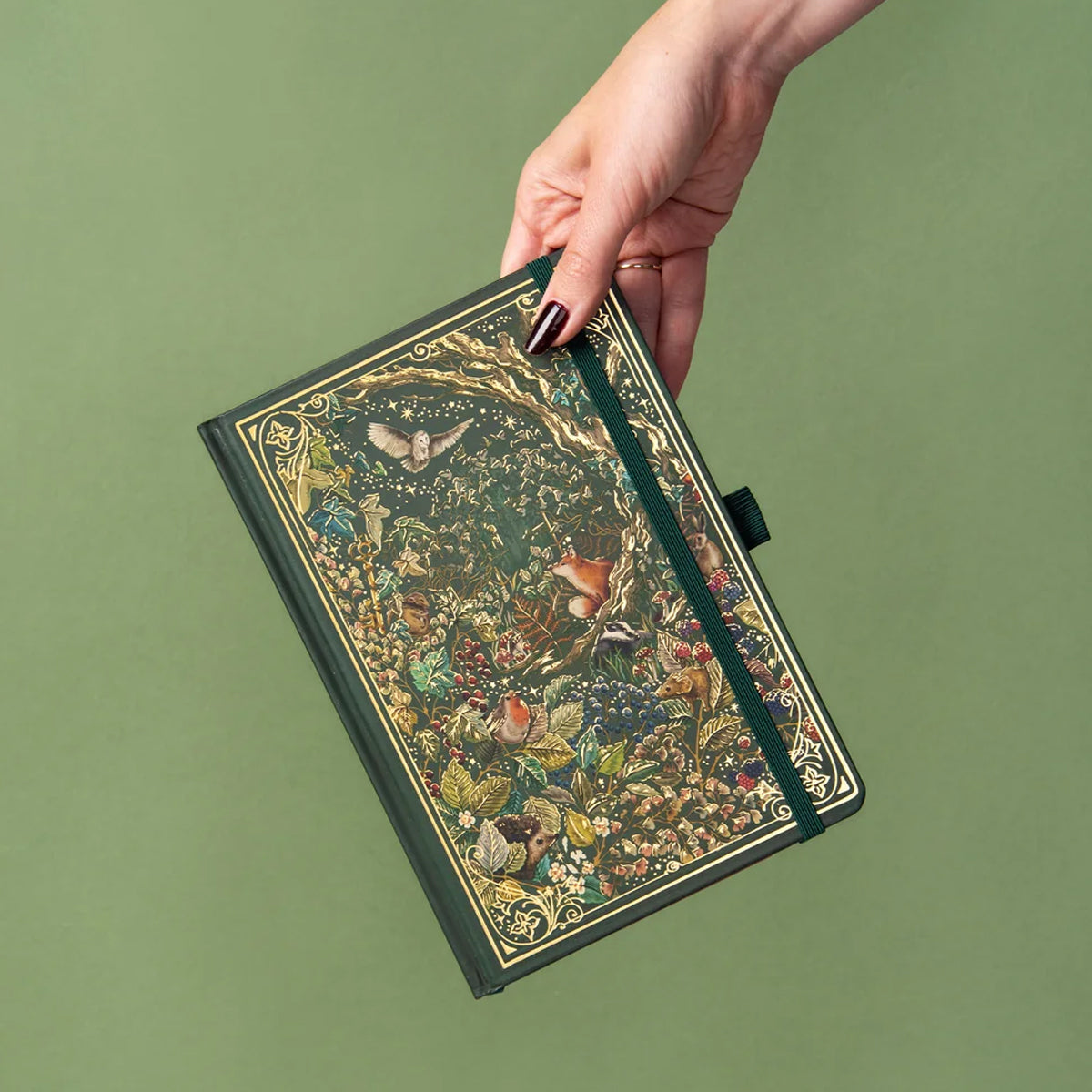 Into the Forest Storybook Notebook