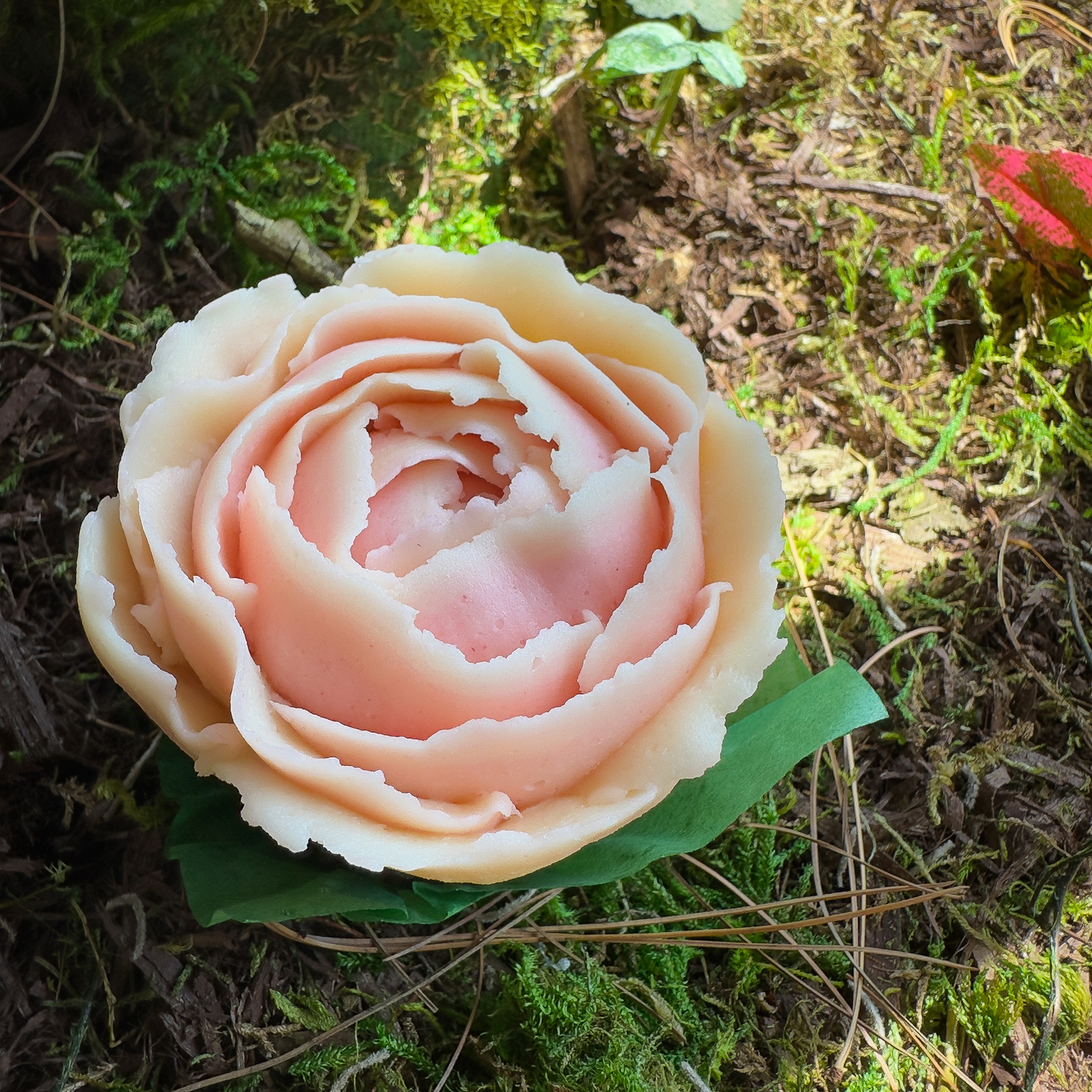 Buttercream & Botanicals: The Victorian Language of Flowers with Shawna Horgan