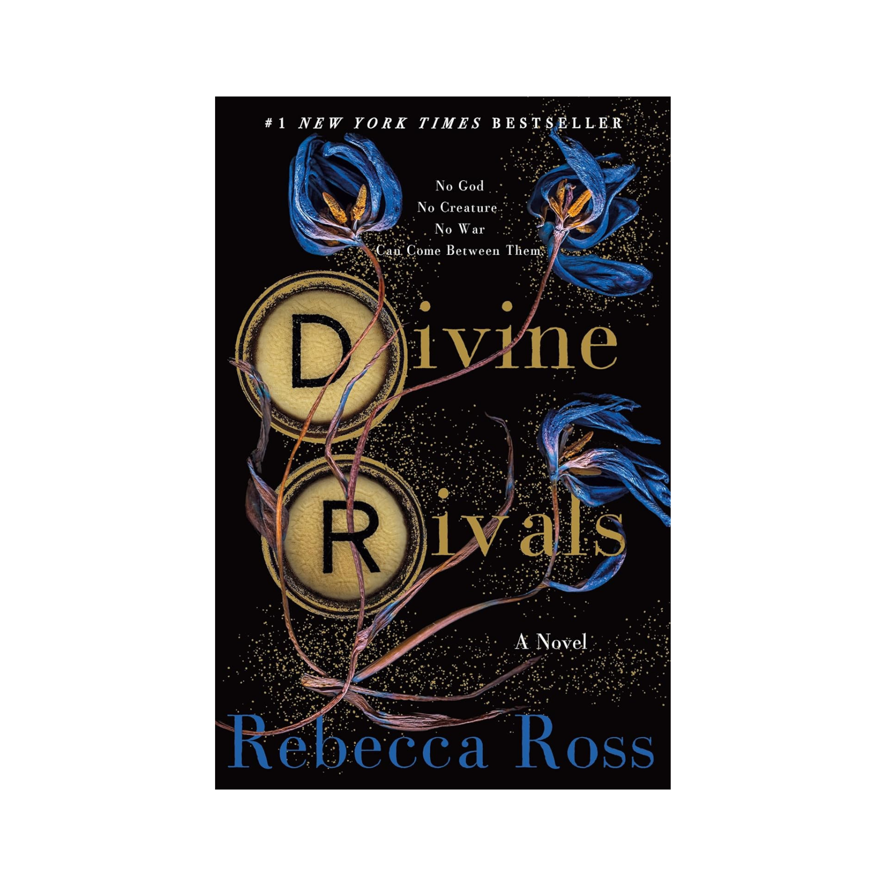 Divine Rivals (Letters of Enchantment Duology #1)