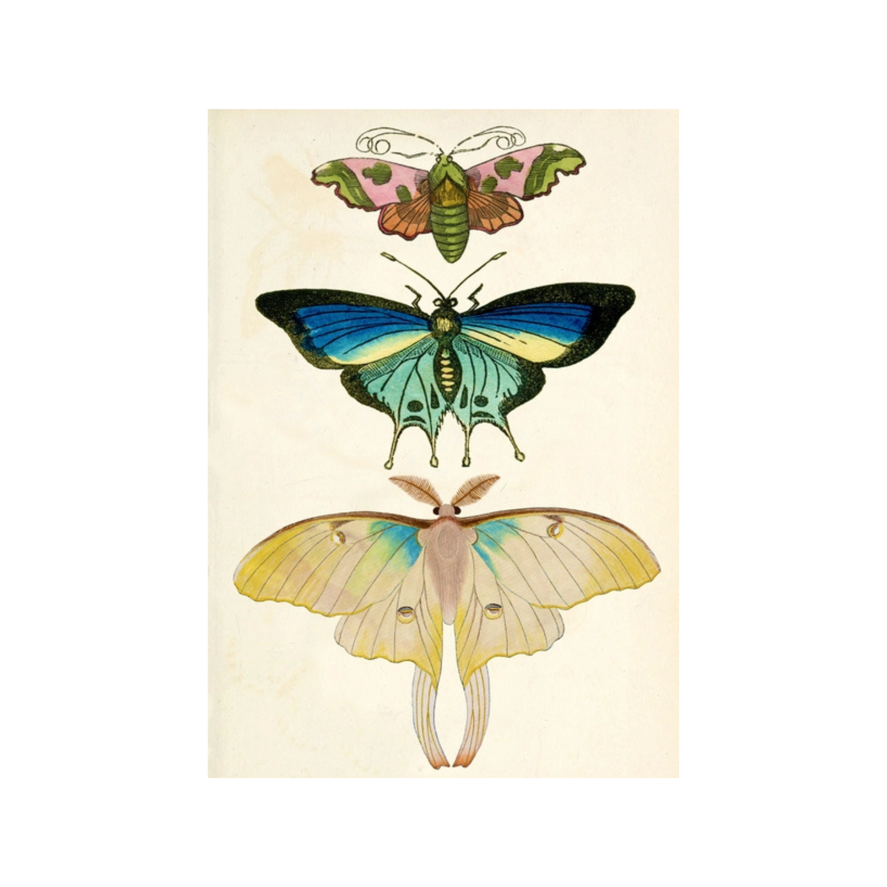 Night Butterflies Greeting Card