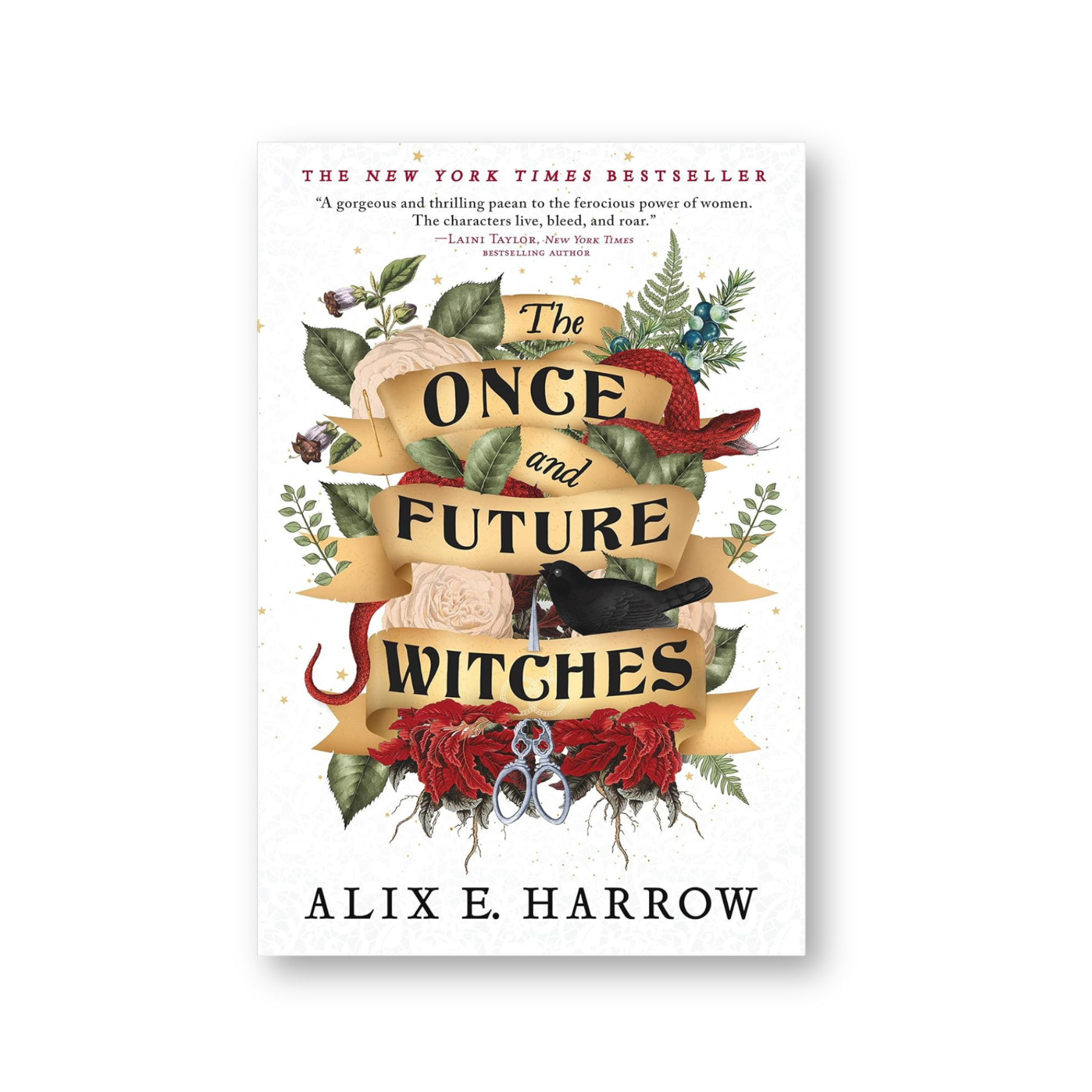 The Once and Future Witches