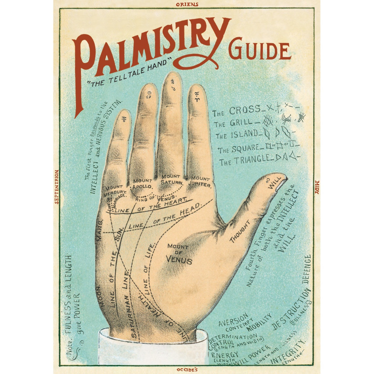 Palmistry Vintage Print