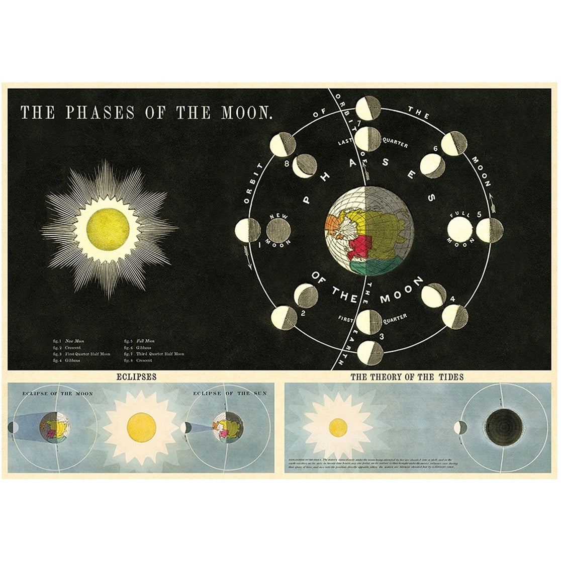 Phases of the Moon Vintage Print