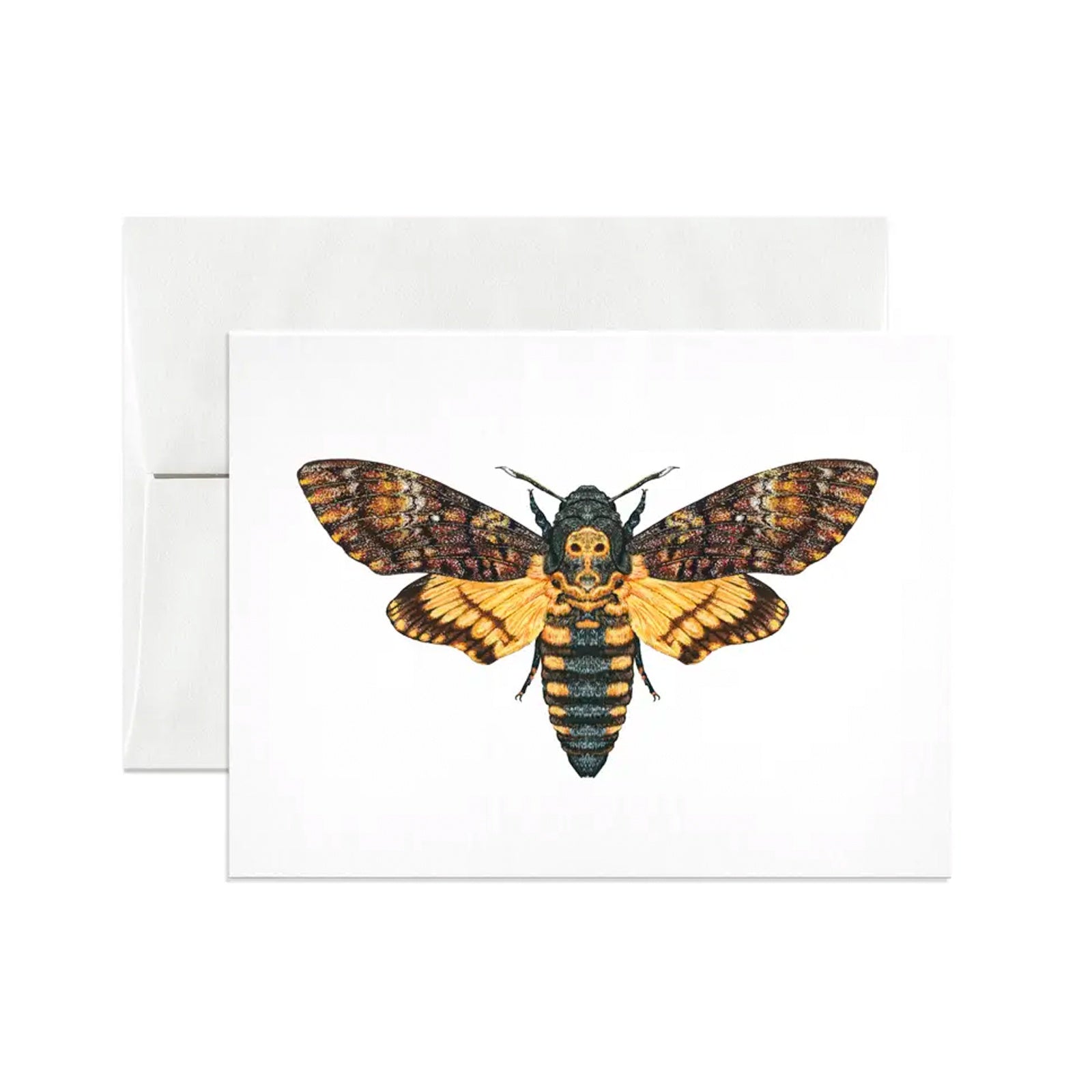 Death's-Head Hawkmoth Card