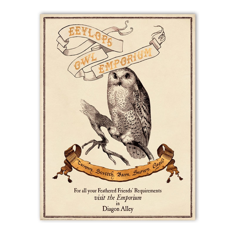 Eeylops Owl Emporium Poster