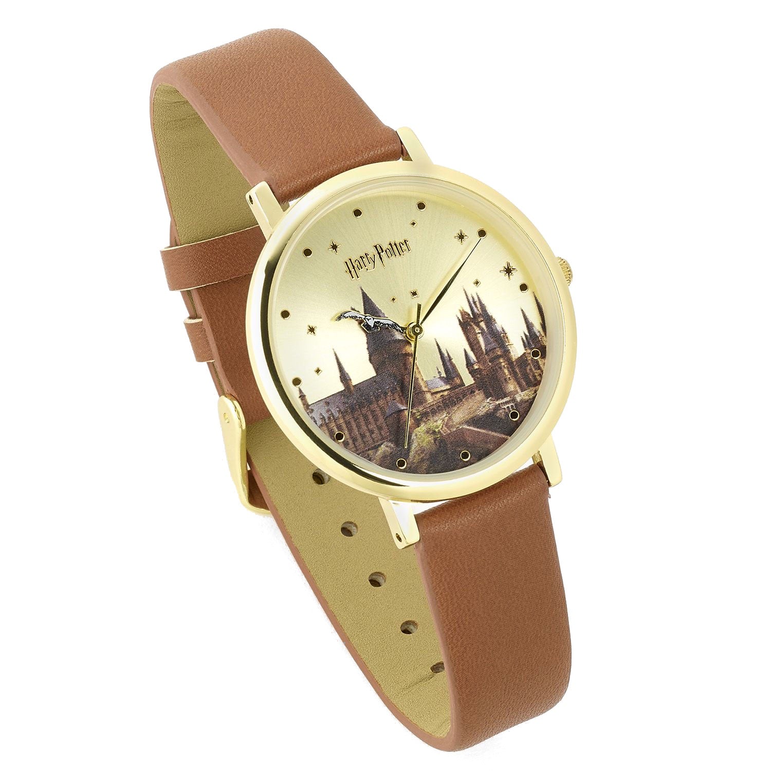 Hogwarts Castle Watch