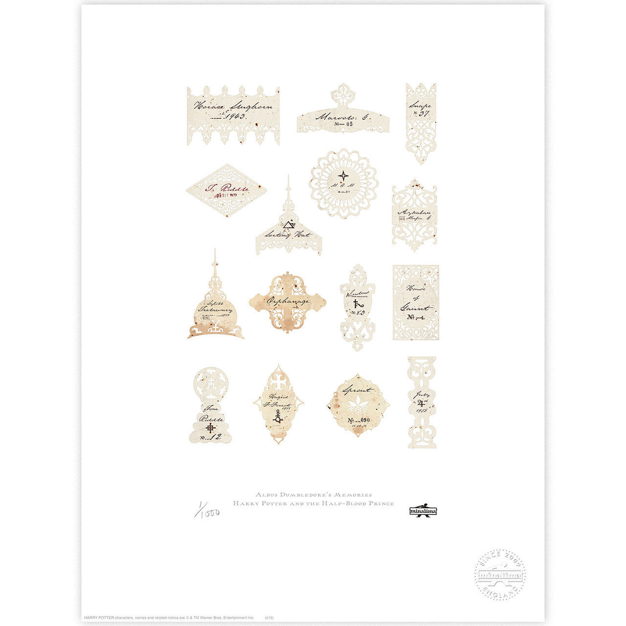 Albus Dumbledore's Memories Limited Edition Art Print