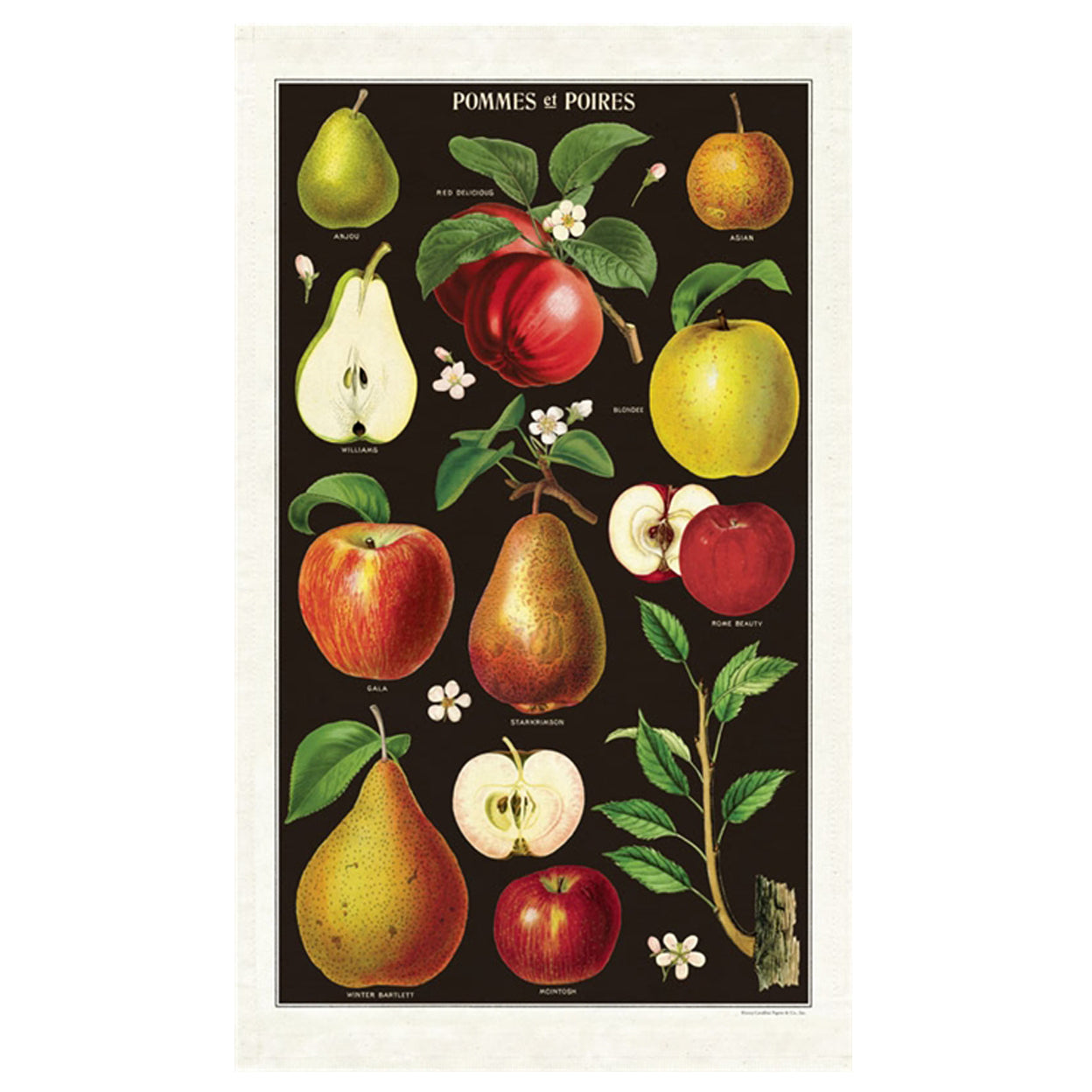 Apples & Pears Tea Towel