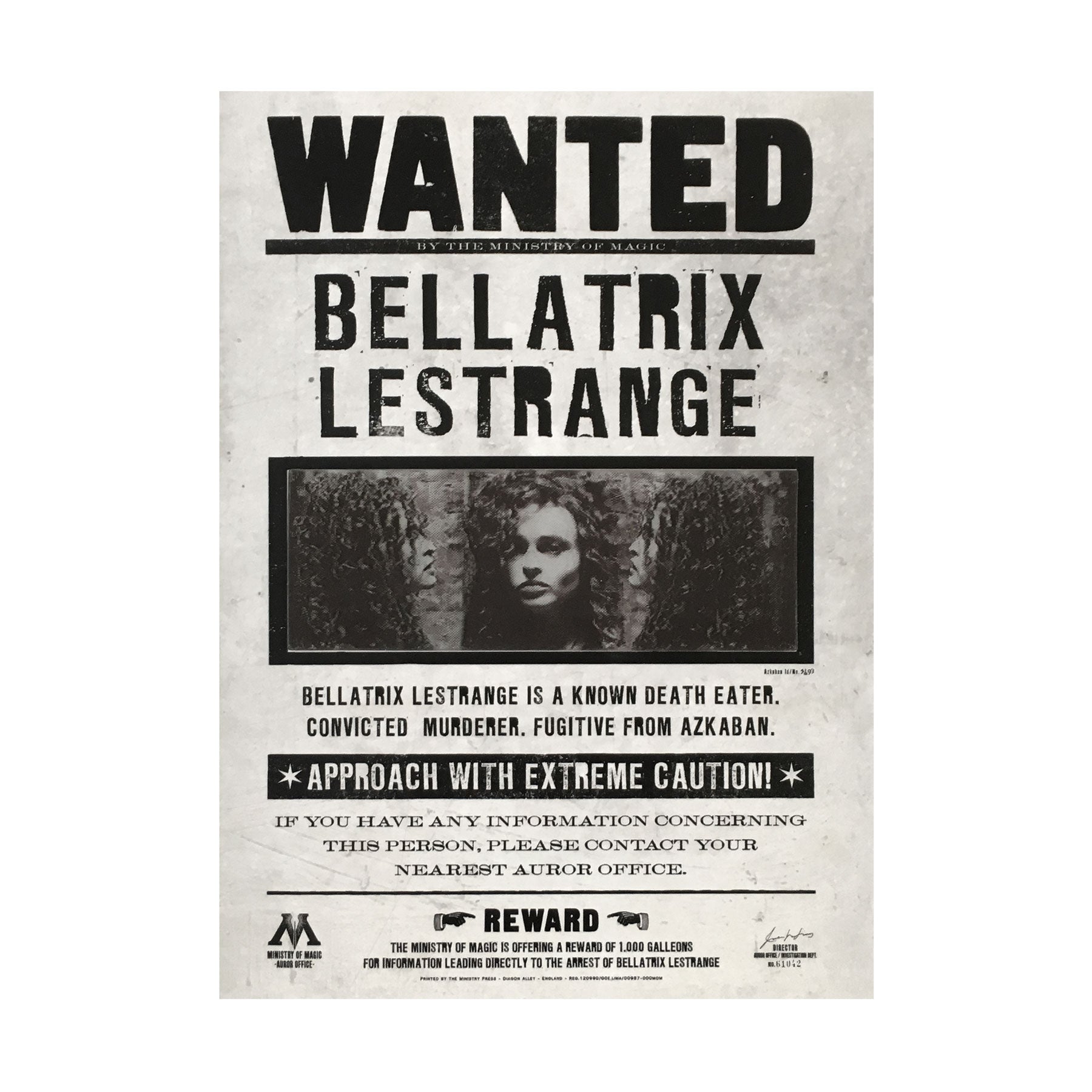 Bellatrix Lestrange Wanted Lenticular Notecard