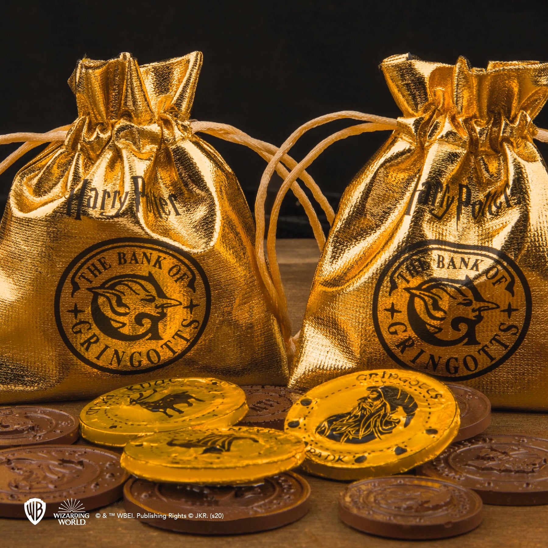 Gringotts Bank Chocolate Coin Mold Kit