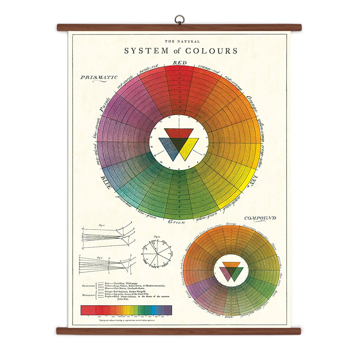 Colour Wheel Vintage School Chart