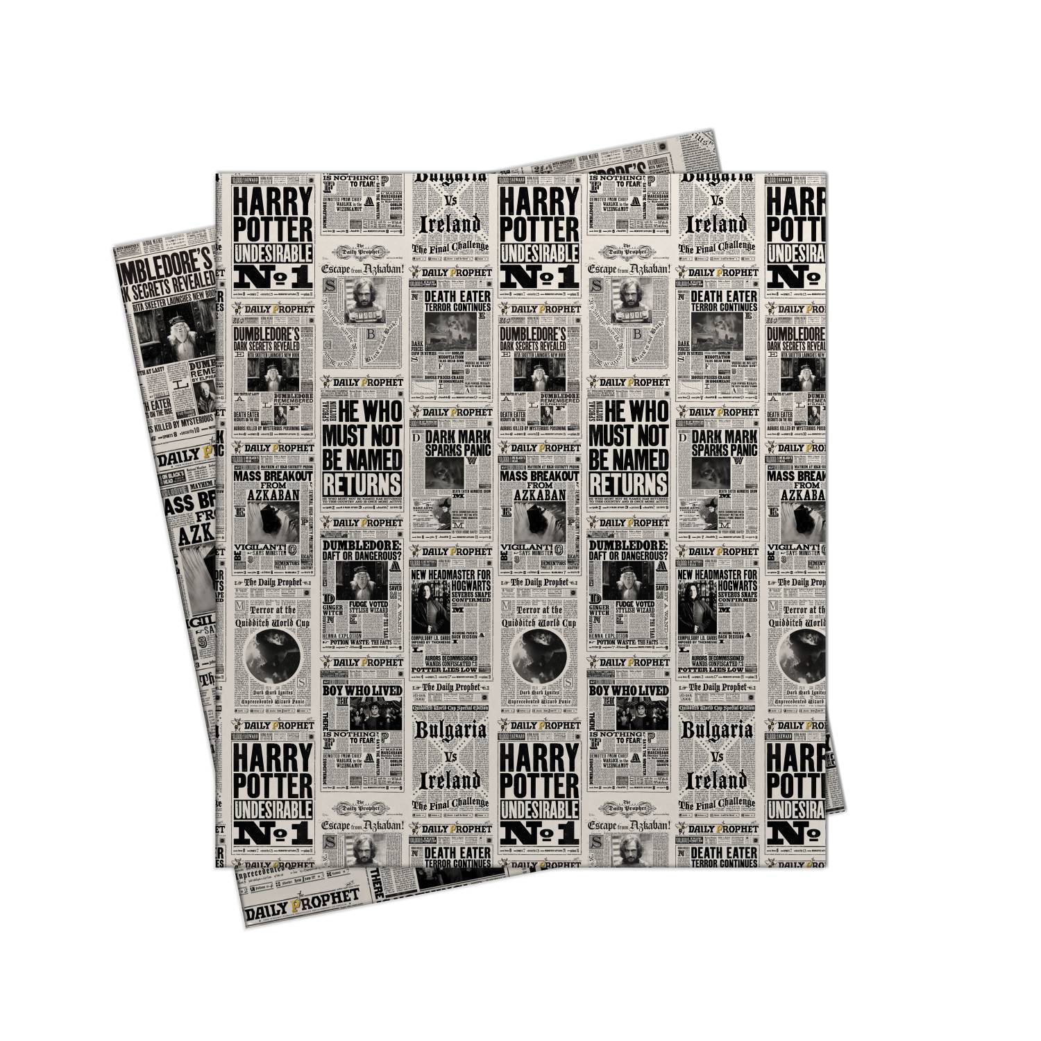 The Daily Prophet Gift Wrap