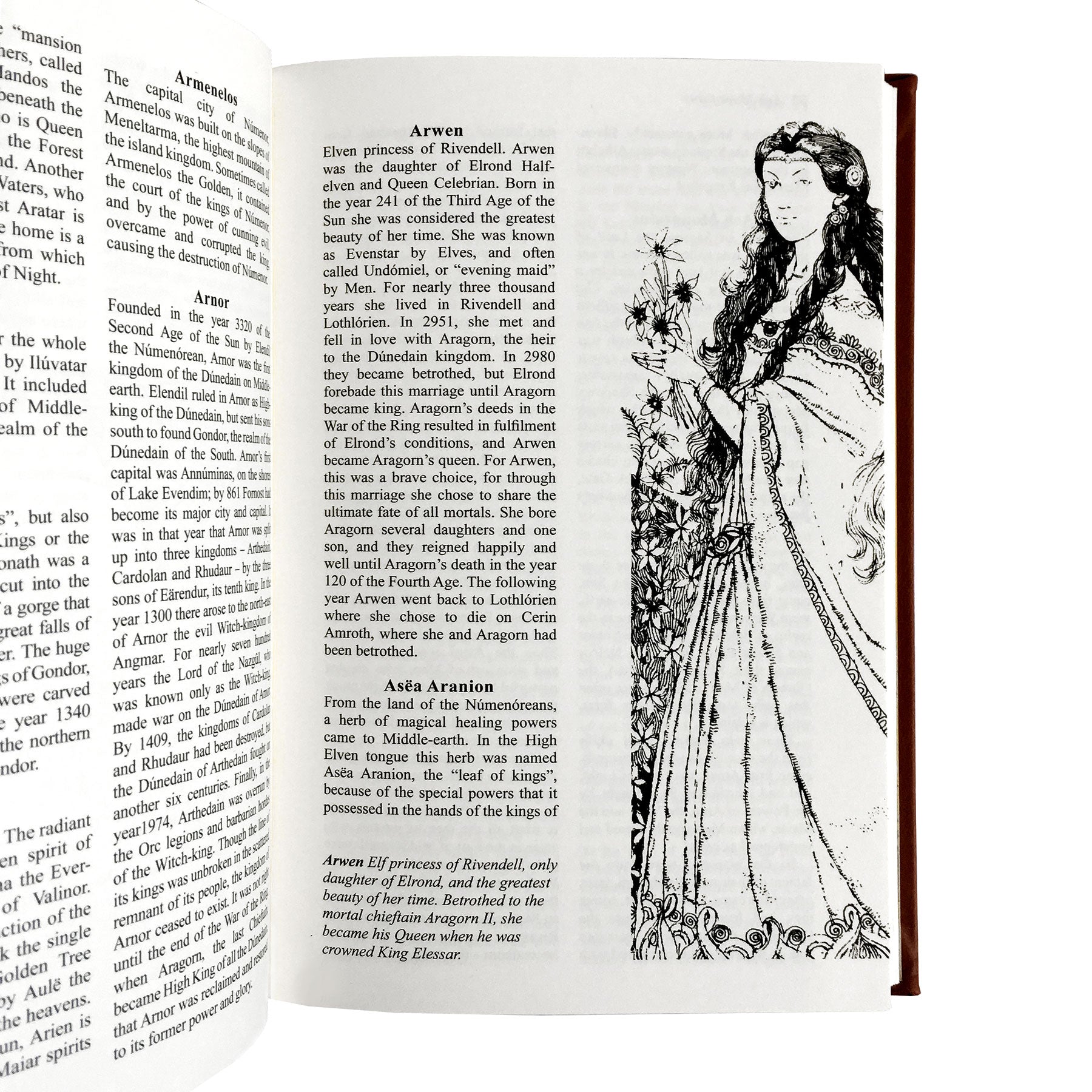 A Dictionary of Tolkien