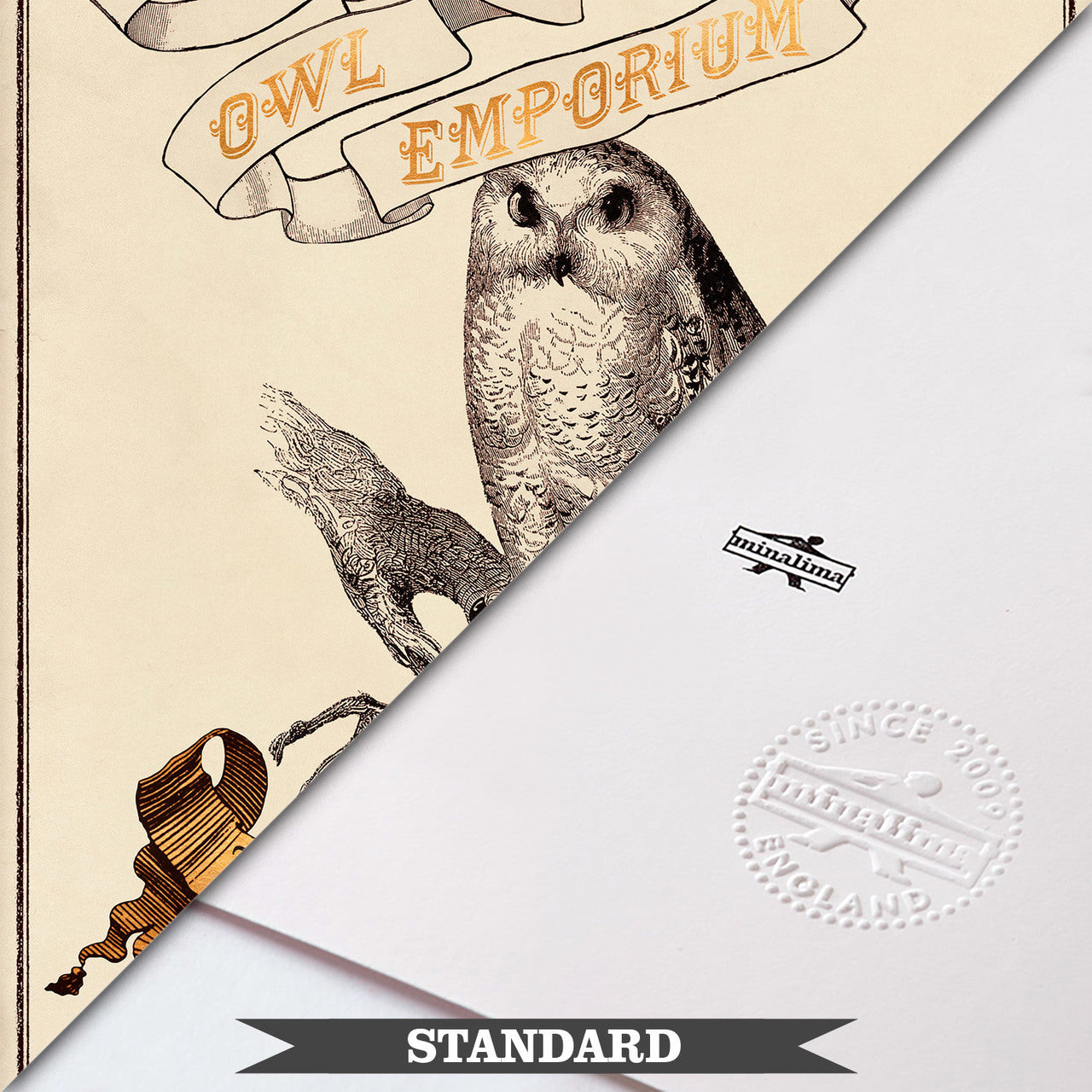 Eeylops Owl Emporium Limited Edition Art Print