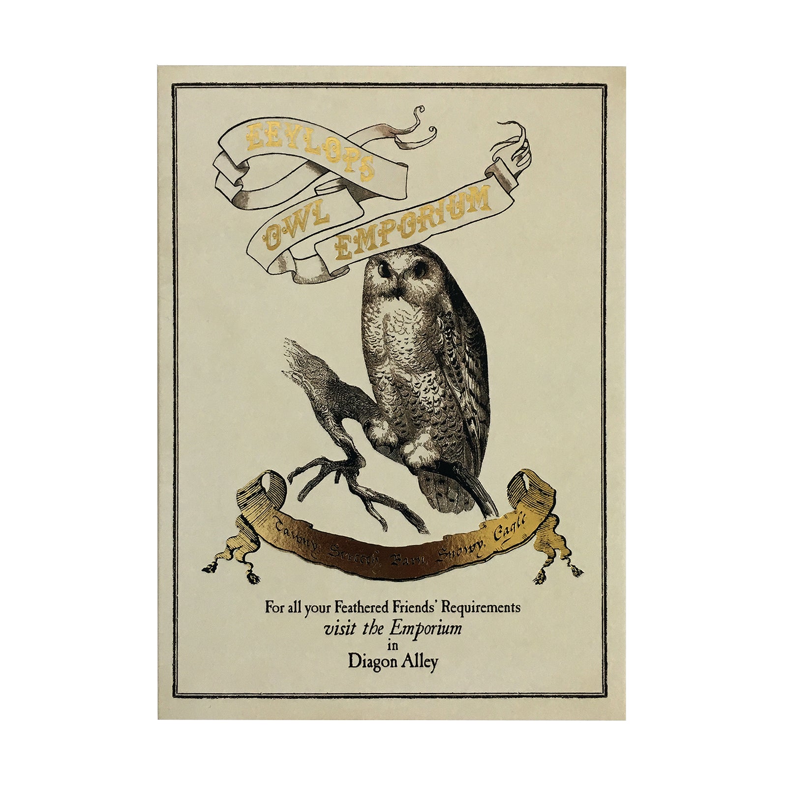 Eeylops Owl Emporium Poster Foiled Notecard