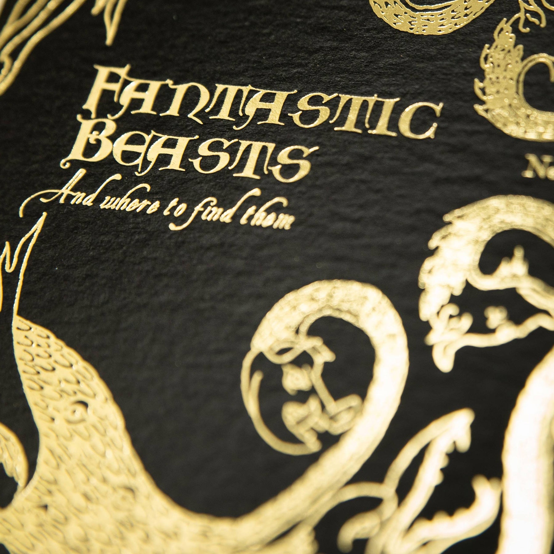 Fantastic Beasts and Where to Find Them Foiled Notecard