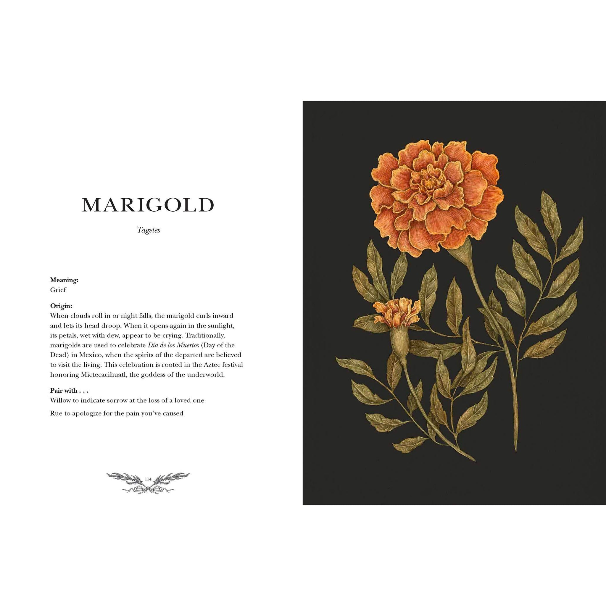 Floriography