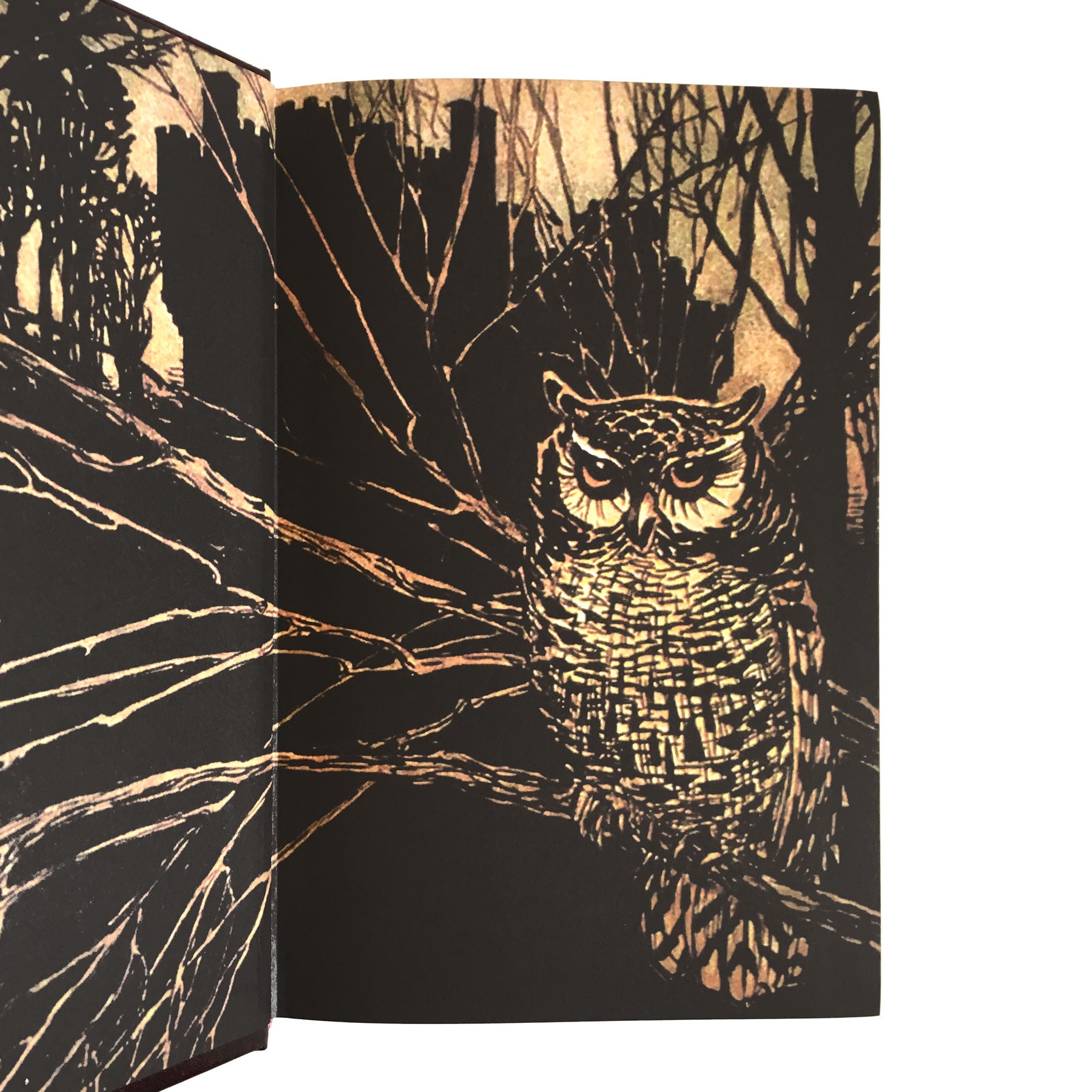 Grimm's Complete Fairy Tales Leather Bound Edition