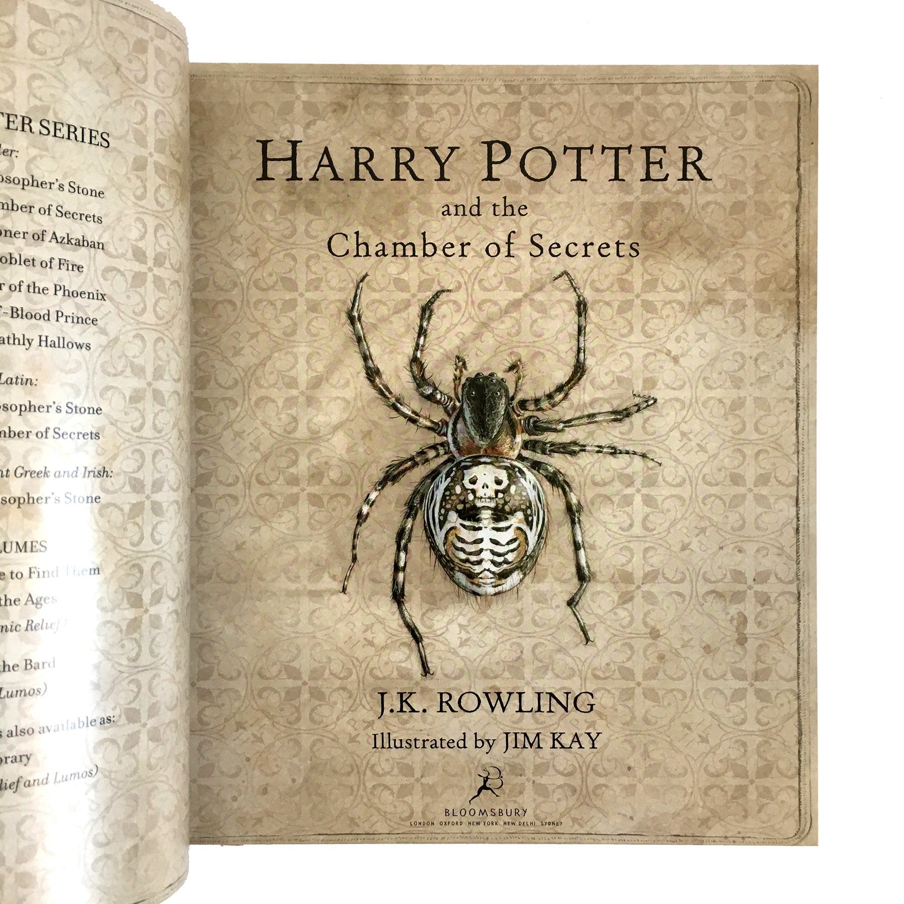 Harry Potter and the Chamber of Secrets Illustrated Edition