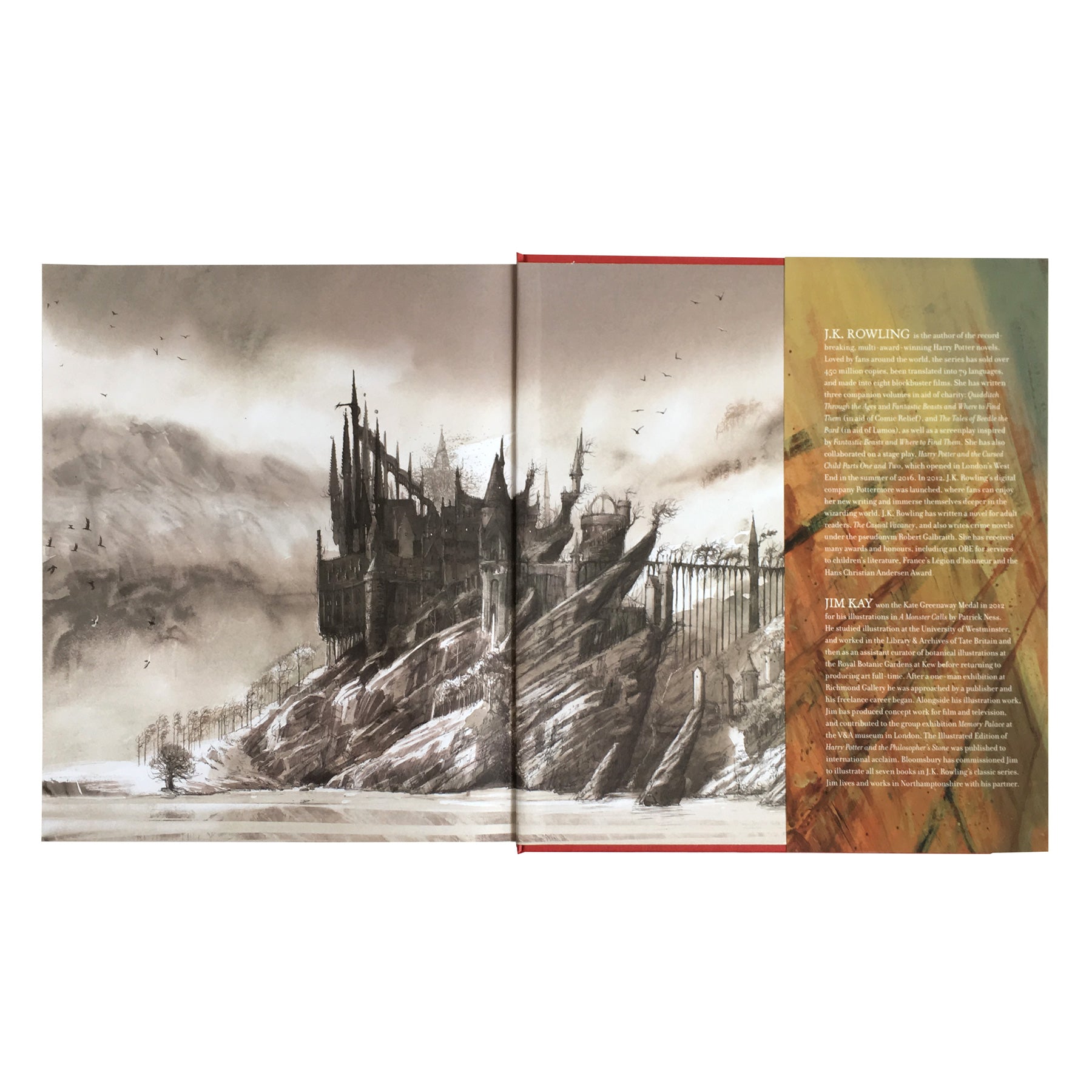Harry Potter and the Philosopher's Stone Illustrated Edition