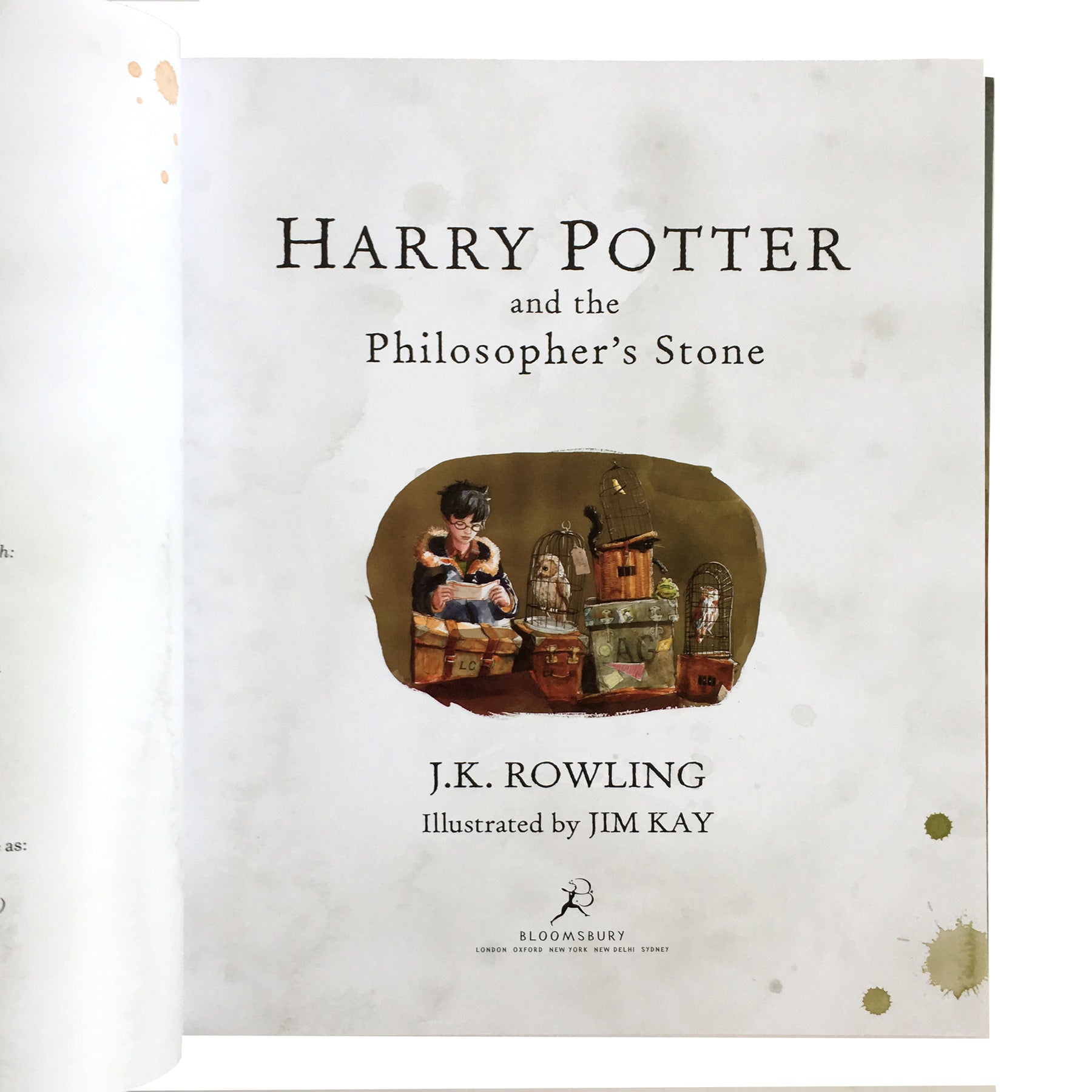 Harry Potter and the Philosopher's Stone Illustrated Edition