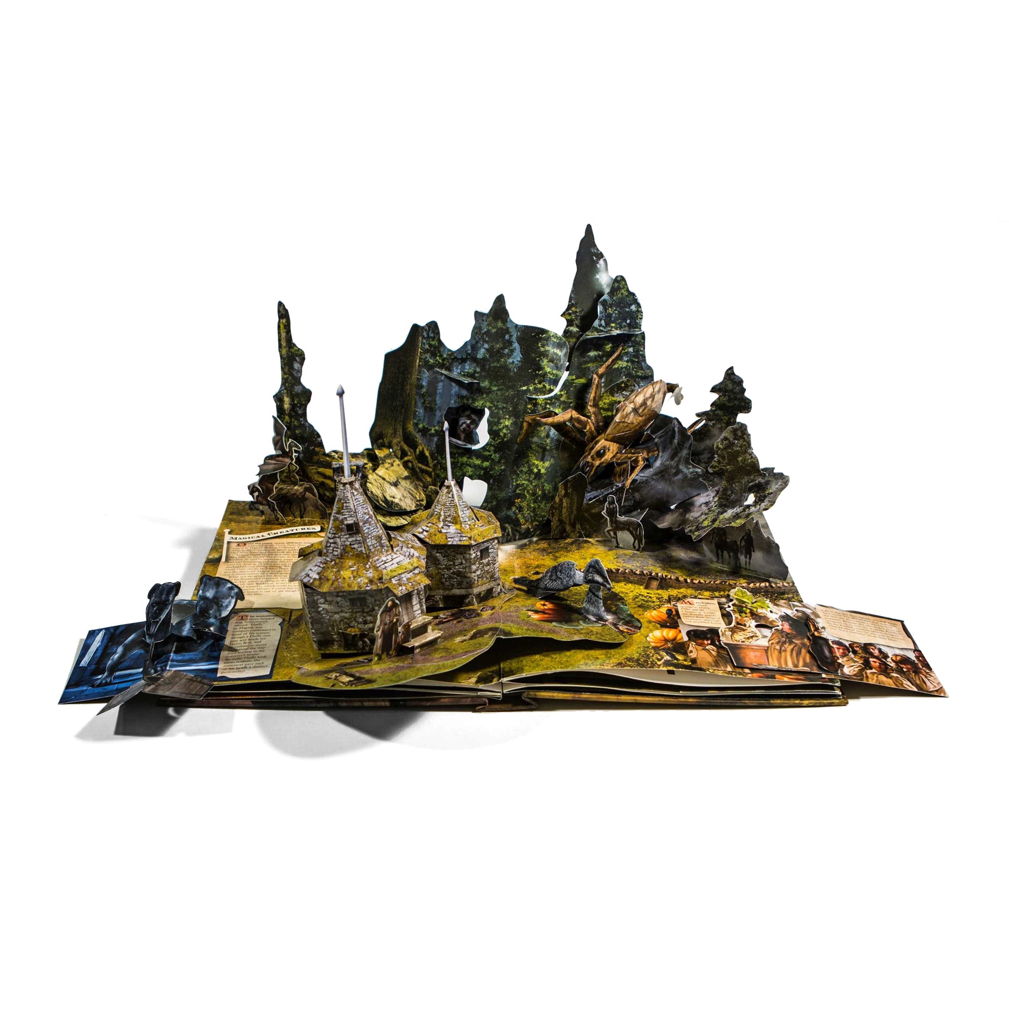 Harry Potter:  A Pop-Up Book