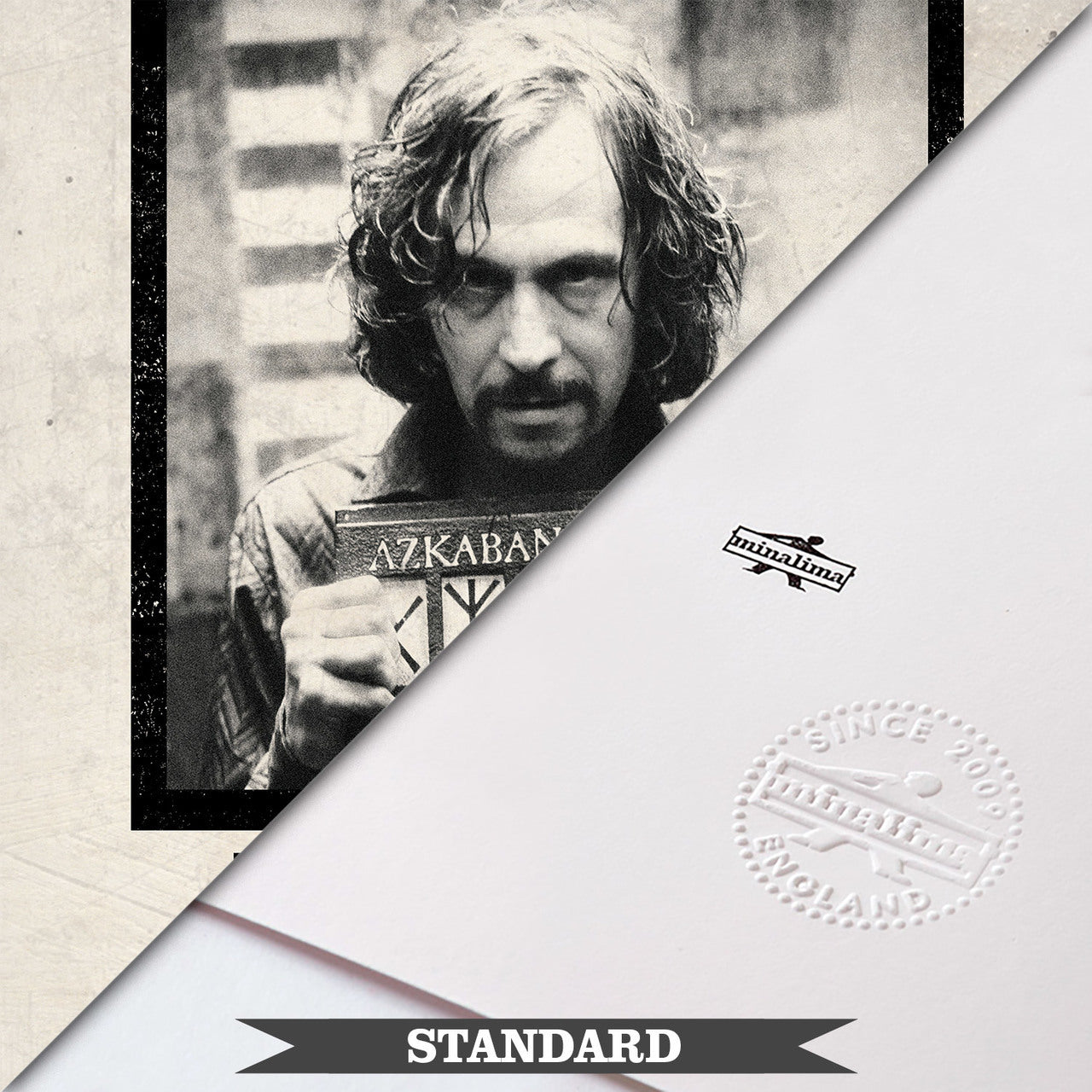 Have You Seen This Wizard Printable