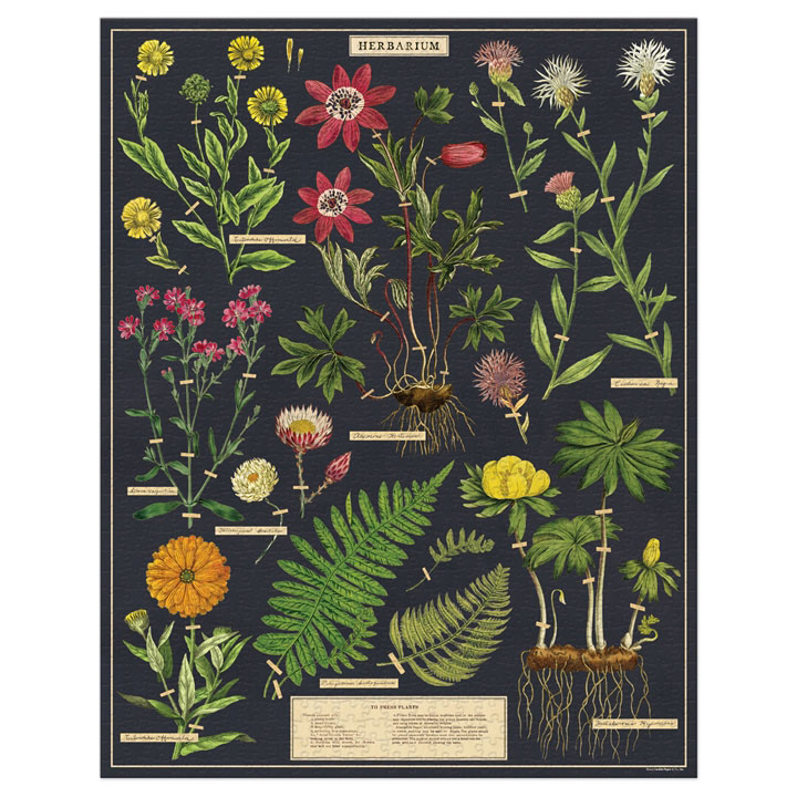 Herbarium Puzzle