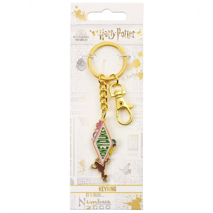 Honeydukes Logo Key Ring