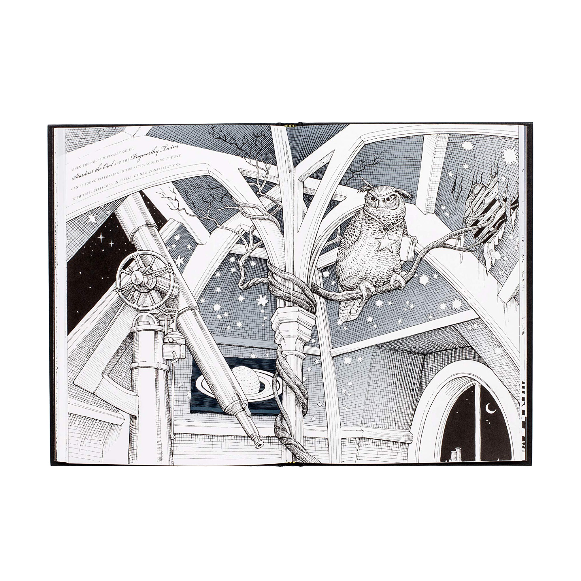 The Ink House: A Gothic Mansion Colouring Book