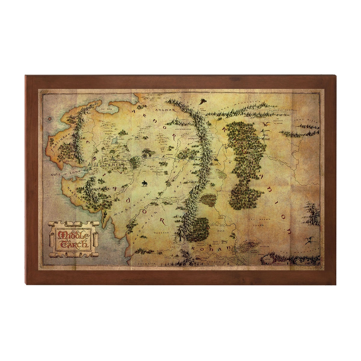 The Map of Middle Earth