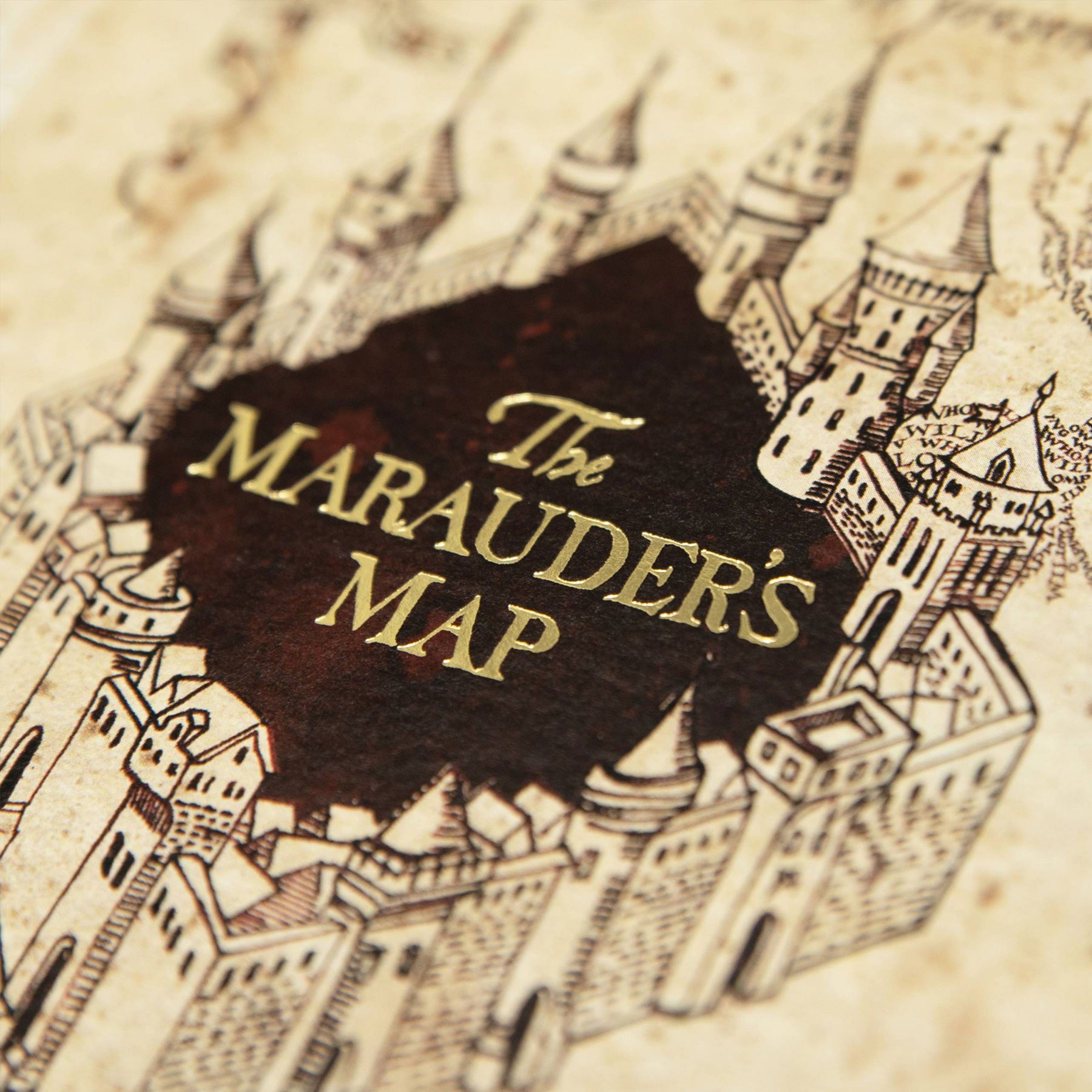 The Marauder's Map Foiled Notecard