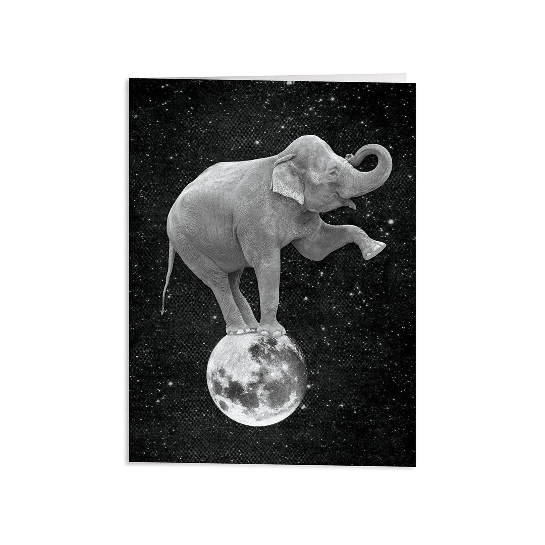 Moonbeams Assorted Notecards