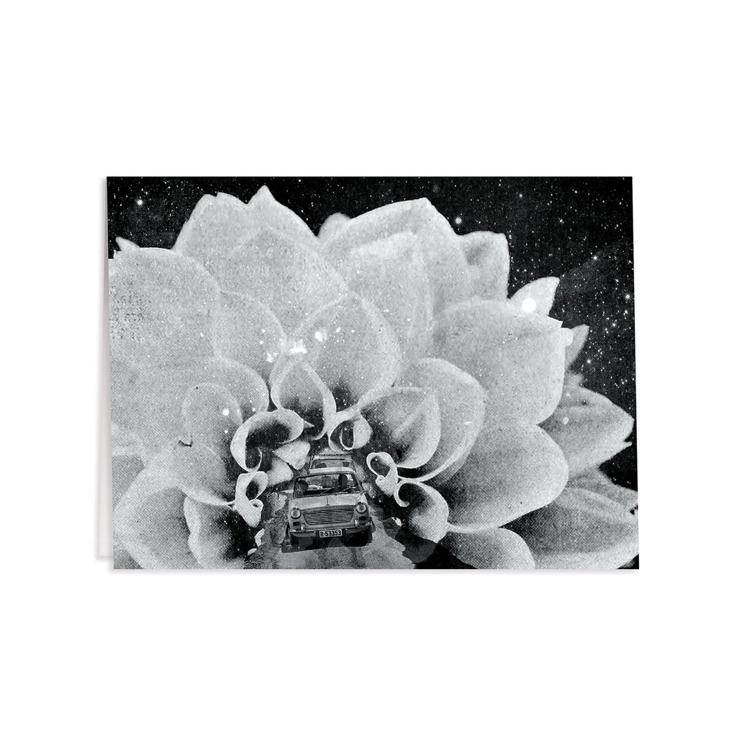 Moonbeams Assorted Notecards