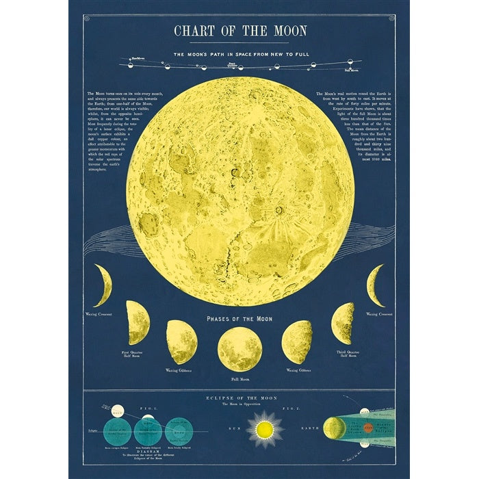 Moon Vintage Print