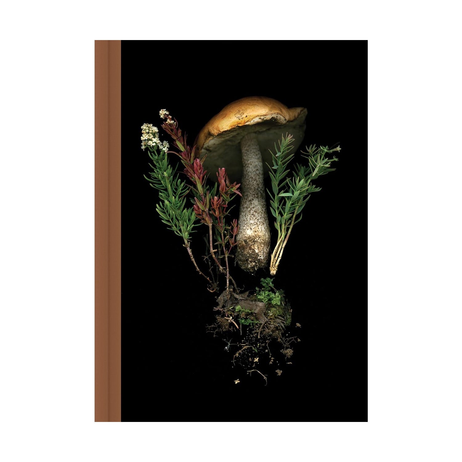 Deep Dark Forest Mushroom Journal