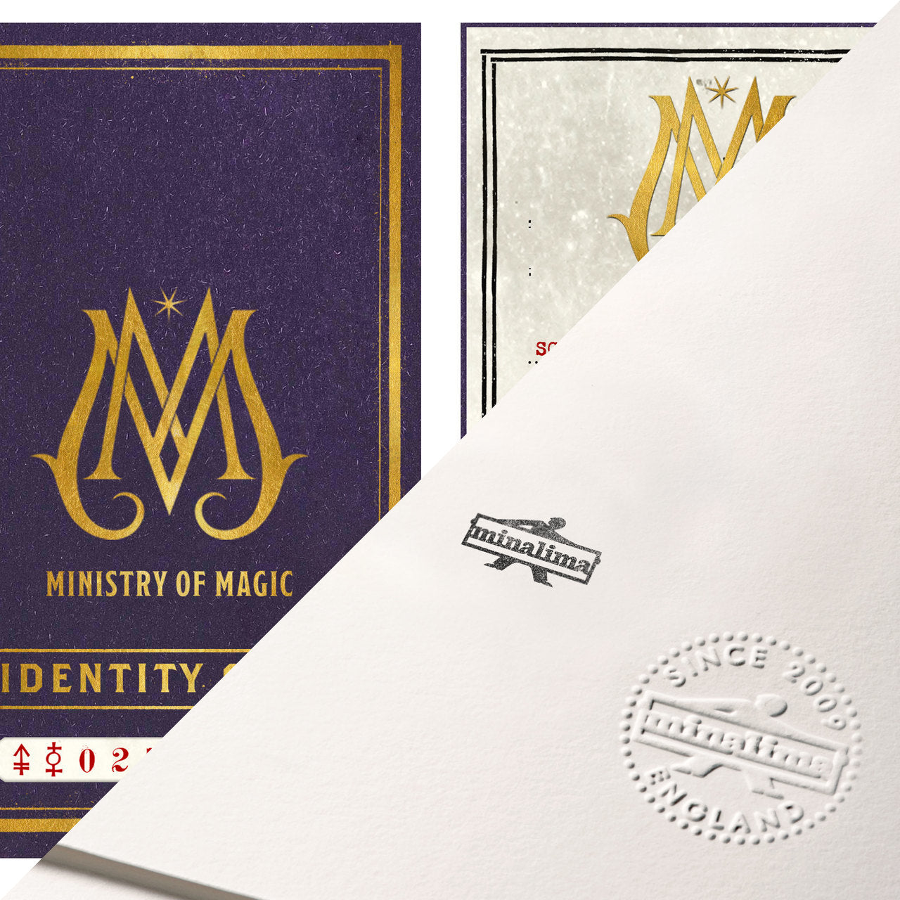Newt Scamander Ministry of Magic I.D. Card Limited Edition Art Print