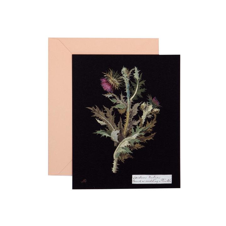 Paper Flowers Cards Set