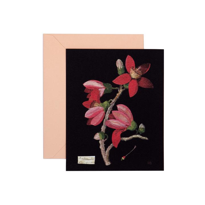 Paper Flowers Cards Set